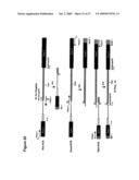 ARTIFICIAL RIBOSWITCH FOR CONTROLLING PRE-MRNA SPLICING diagram and image