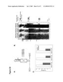 ARTIFICIAL RIBOSWITCH FOR CONTROLLING PRE-MRNA SPLICING diagram and image