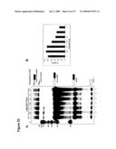ARTIFICIAL RIBOSWITCH FOR CONTROLLING PRE-MRNA SPLICING diagram and image