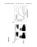 ARTIFICIAL RIBOSWITCH FOR CONTROLLING PRE-MRNA SPLICING diagram and image