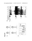 ARTIFICIAL RIBOSWITCH FOR CONTROLLING PRE-MRNA SPLICING diagram and image