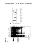 ARTIFICIAL RIBOSWITCH FOR CONTROLLING PRE-MRNA SPLICING diagram and image