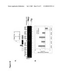 ARTIFICIAL RIBOSWITCH FOR CONTROLLING PRE-MRNA SPLICING diagram and image