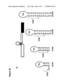 ARTIFICIAL RIBOSWITCH FOR CONTROLLING PRE-MRNA SPLICING diagram and image