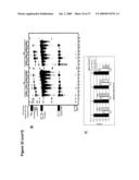 ARTIFICIAL RIBOSWITCH FOR CONTROLLING PRE-MRNA SPLICING diagram and image