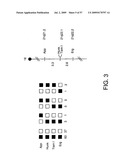 Hunk, a snfi-related kinase essential for mammary tumor metastasis diagram and image