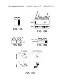 Hunk, a snfi-related kinase essential for mammary tumor metastasis diagram and image