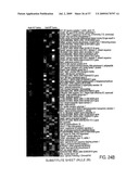 Hunk, a snfi-related kinase essential for mammary tumor metastasis diagram and image