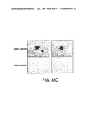 Hunk, a snfi-related kinase essential for mammary tumor metastasis diagram and image