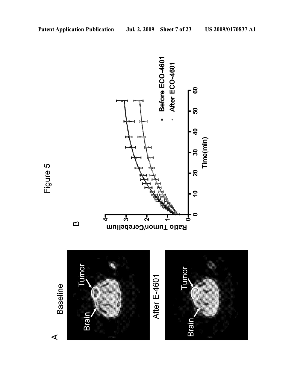 METHODS FOR TREATING RAS DRIVEN CANCER IN A SUBJECT - diagram, schematic, and image 08