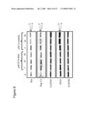 METHODS FOR TREATING RAS DRIVEN CANCER IN A SUBJECT diagram and image