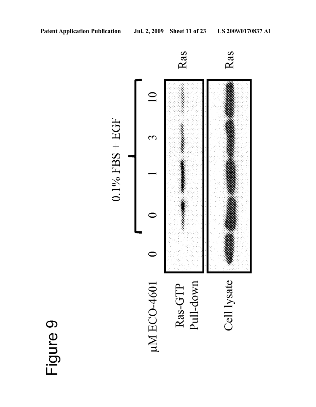 METHODS FOR TREATING RAS DRIVEN CANCER IN A SUBJECT - diagram, schematic, and image 12