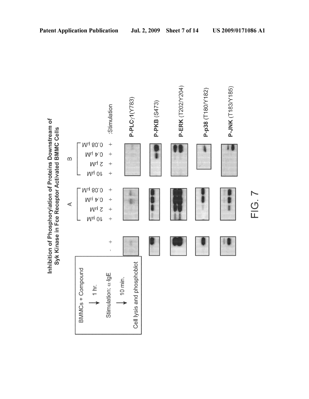 2,4-PYRIMIDINEDIAMINE COMPOUNDS AND THEIR USES - diagram, schematic, and image 08