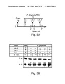 Model System for TCR (ZETA) Chain Downregulation diagram and image