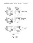 Model System for TCR (ZETA) Chain Downregulation diagram and image