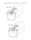 Drip Irrigation Apparatus diagram and image