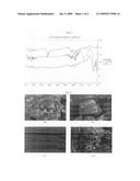 Ethylene Vinyl Acetate Based Polymer Foams with Low Density, Injection Preparation Method Thereof and a Material for Medical and Health-Care use diagram and image