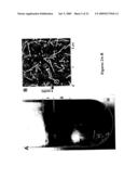 Separation of carbon nanotubes in density gradients diagram and image