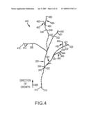 PARTICLE-BASED METHOD OF GENERATING AND ANIMATING THREE-DIMENSIONAL VEGETATION diagram and image