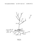 PARTICLE-BASED METHOD OF GENERATING AND ANIMATING THREE-DIMENSIONAL VEGETATION diagram and image