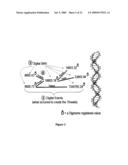 Method and System for Creating and Embedding Information in Digital Representations of a Subject diagram and image