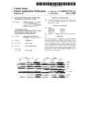 USE OF FRUCTOSE-BASED COMPOUNDS FOR THE DIAGNOSIS OF CANCER diagram and image