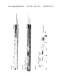 USE OF FRUCTOSE-BASED COMPOUNDS FOR THE DIAGNOSIS OF CANCER diagram and image