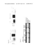 USE OF FRUCTOSE-BASED COMPOUNDS FOR THE DIAGNOSIS OF CANCER diagram and image