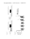 USE OF FRUCTOSE-BASED COMPOUNDS FOR THE DIAGNOSIS OF CANCER diagram and image