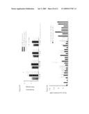 USE OF FRUCTOSE-BASED COMPOUNDS FOR THE DIAGNOSIS OF CANCER diagram and image