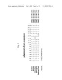 PRELAMIN A PRE PEPTIDE AS A UNIVERSAL STEM CELL DIFFERENTIATION SIGNAL diagram and image