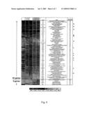 IGF-IR antagonists as adjuvants for treatment of prostate cancer diagram and image