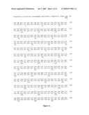 Polynucleotides encoding MHC class I-restricted hTERT epitopes, analogues thereof or polyepitopes diagram and image