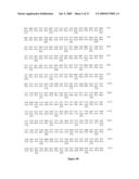 Polynucleotides encoding MHC class I-restricted hTERT epitopes, analogues thereof or polyepitopes diagram and image