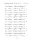 Polynucleotides encoding MHC class I-restricted hTERT epitopes, analogues thereof or polyepitopes diagram and image