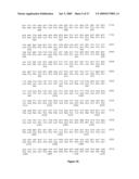 Polynucleotides encoding MHC class I-restricted hTERT epitopes, analogues thereof or polyepitopes diagram and image