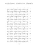 Polynucleotides encoding MHC class I-restricted hTERT epitopes, analogues thereof or polyepitopes diagram and image