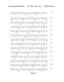 Polynucleotides encoding MHC class I-restricted hTERT epitopes, analogues thereof or polyepitopes diagram and image