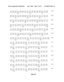 Polynucleotides encoding MHC class I-restricted hTERT epitopes, analogues thereof or polyepitopes diagram and image