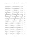 Polynucleotides encoding MHC class I-restricted hTERT epitopes, analogues thereof or polyepitopes diagram and image