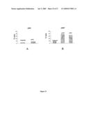 Polynucleotides encoding MHC class I-restricted hTERT epitopes, analogues thereof or polyepitopes diagram and image