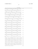 Polynucleotides encoding MHC class I-restricted hTERT epitopes, analogues thereof or polyepitopes diagram and image