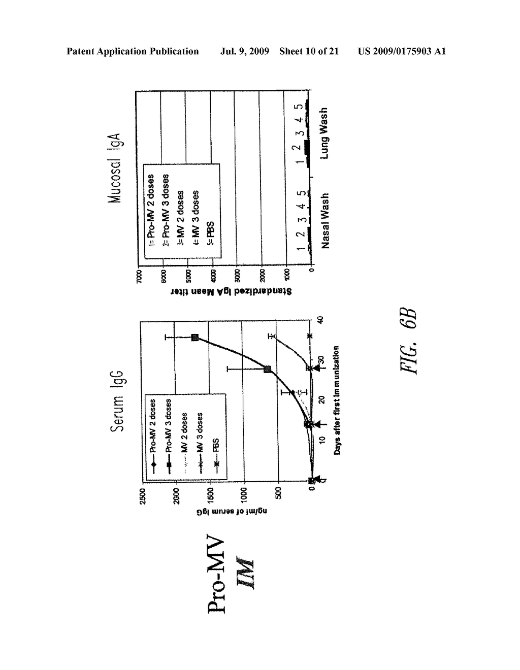 MEASLES SUBUNIT VACCINE - diagram, schematic, and image 11