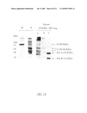 MEASLES SUBUNIT VACCINE diagram and image