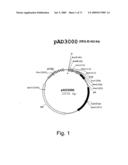 Multi Plasmid System For The Production Of Influenza Virus diagram and image