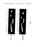 Multi Plasmid System For The Production Of Influenza Virus diagram and image