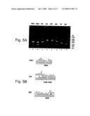 Multi Plasmid System For The Production Of Influenza Virus diagram and image