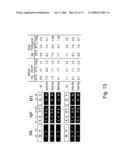 Multi Plasmid System For The Production Of Influenza Virus diagram and image