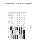 Multi Plasmid System For The Production Of Influenza Virus diagram and image