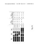 Multi Plasmid System For The Production Of Influenza Virus diagram and image